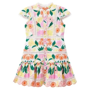 Anais Embroidered Dress