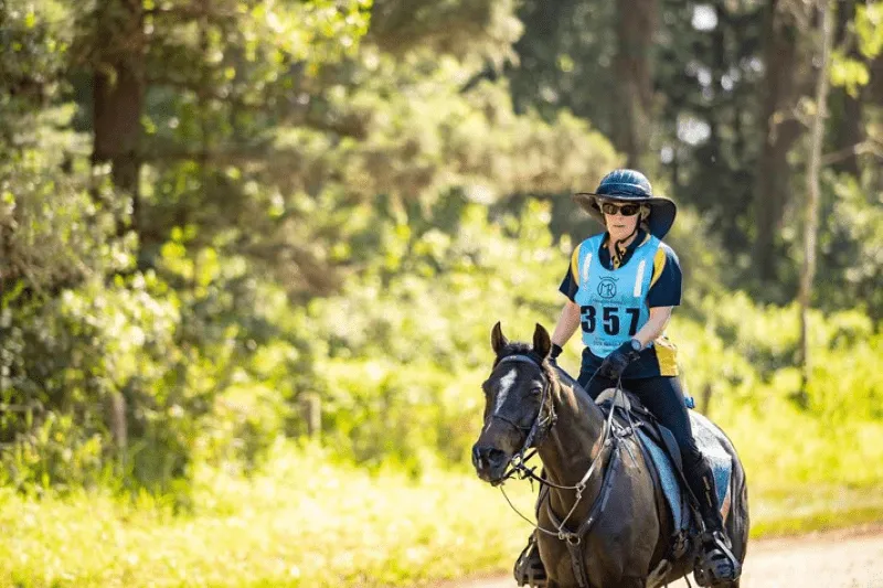 Equest Endurance Sunbrim