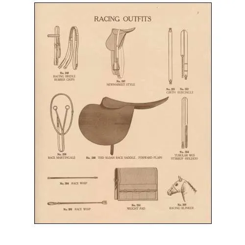 Equine Riding Gear III v2