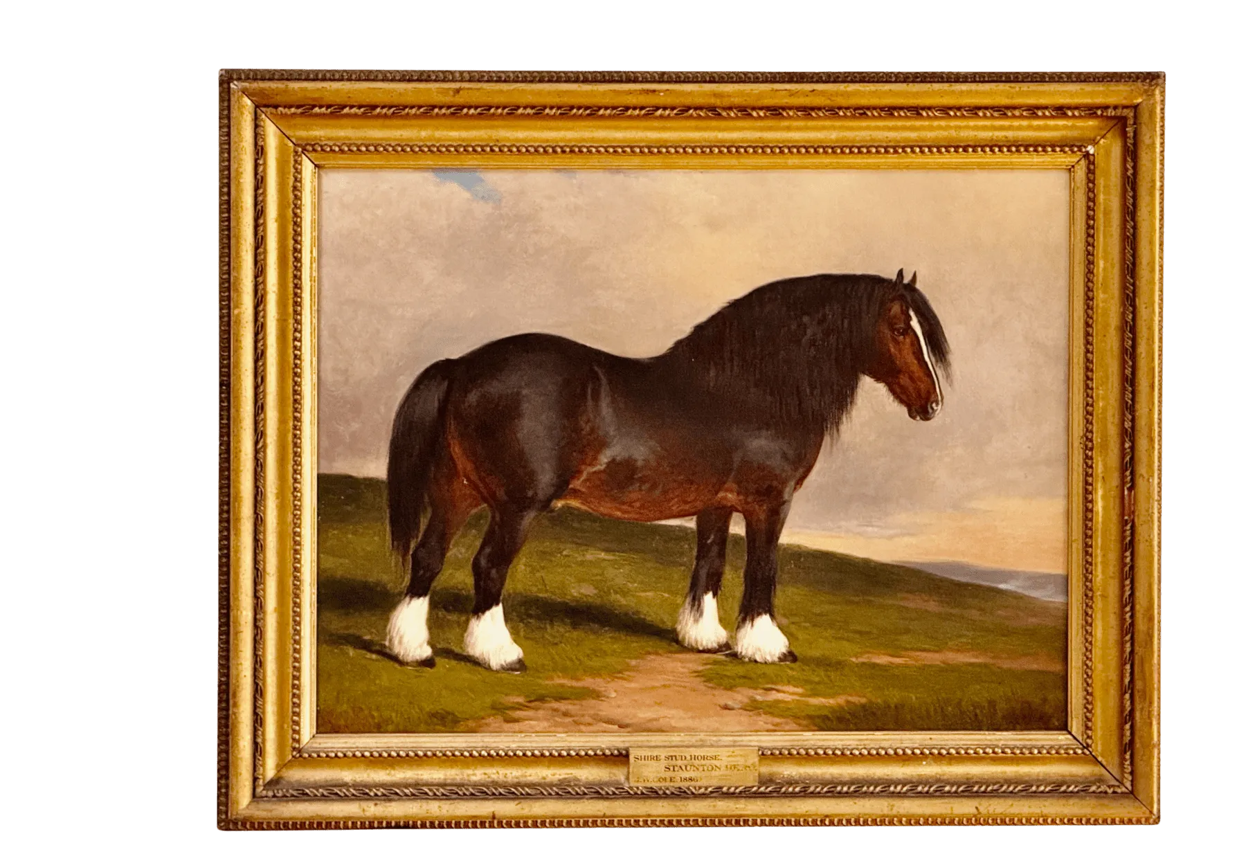 James William Cole (English, act.1849-1889) "Staunton Hero", Shire stud horse, Oil on Canvas