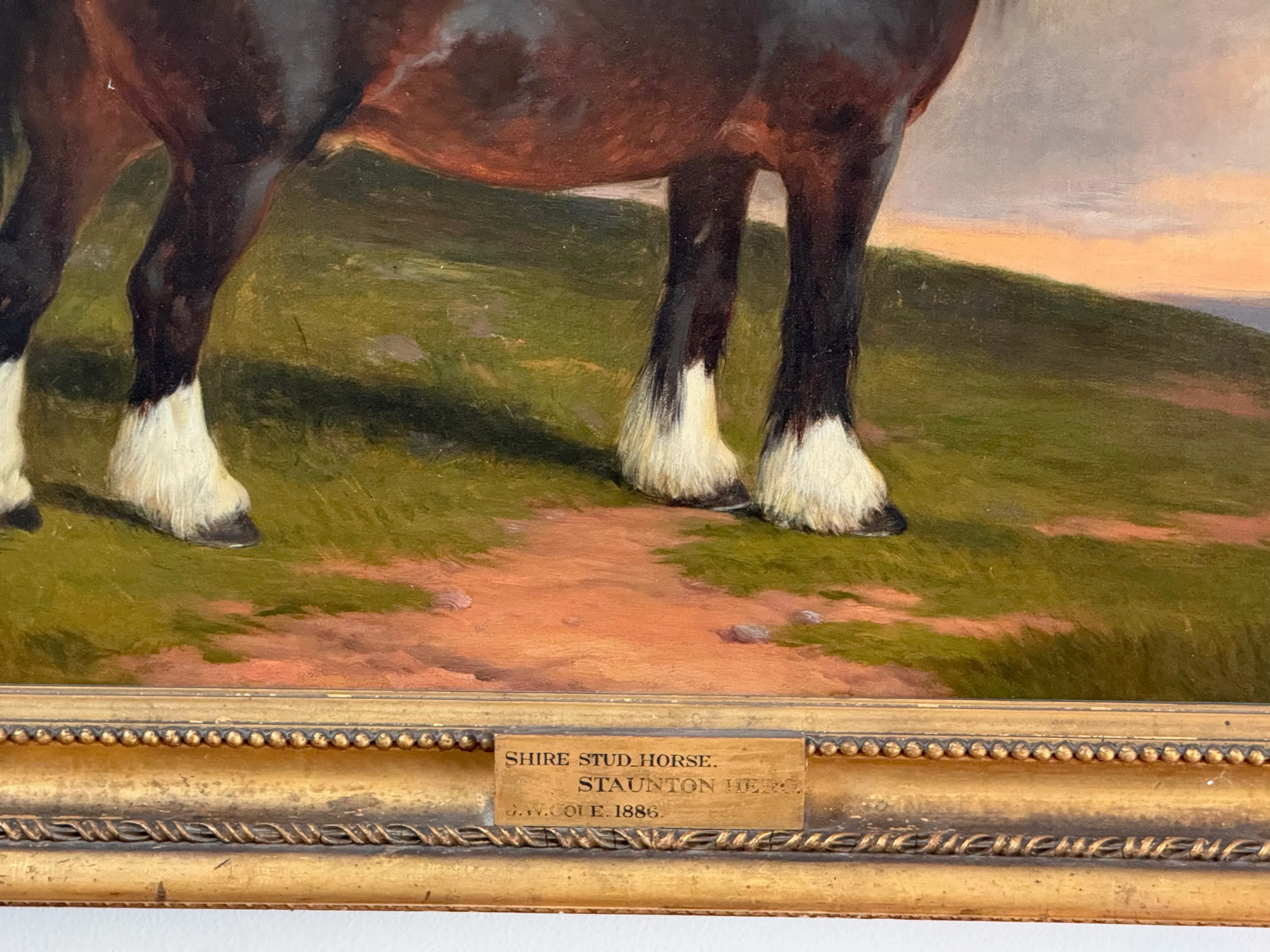 James William Cole (English, act.1849-1889) "Staunton Hero", Shire stud horse, Oil on Canvas