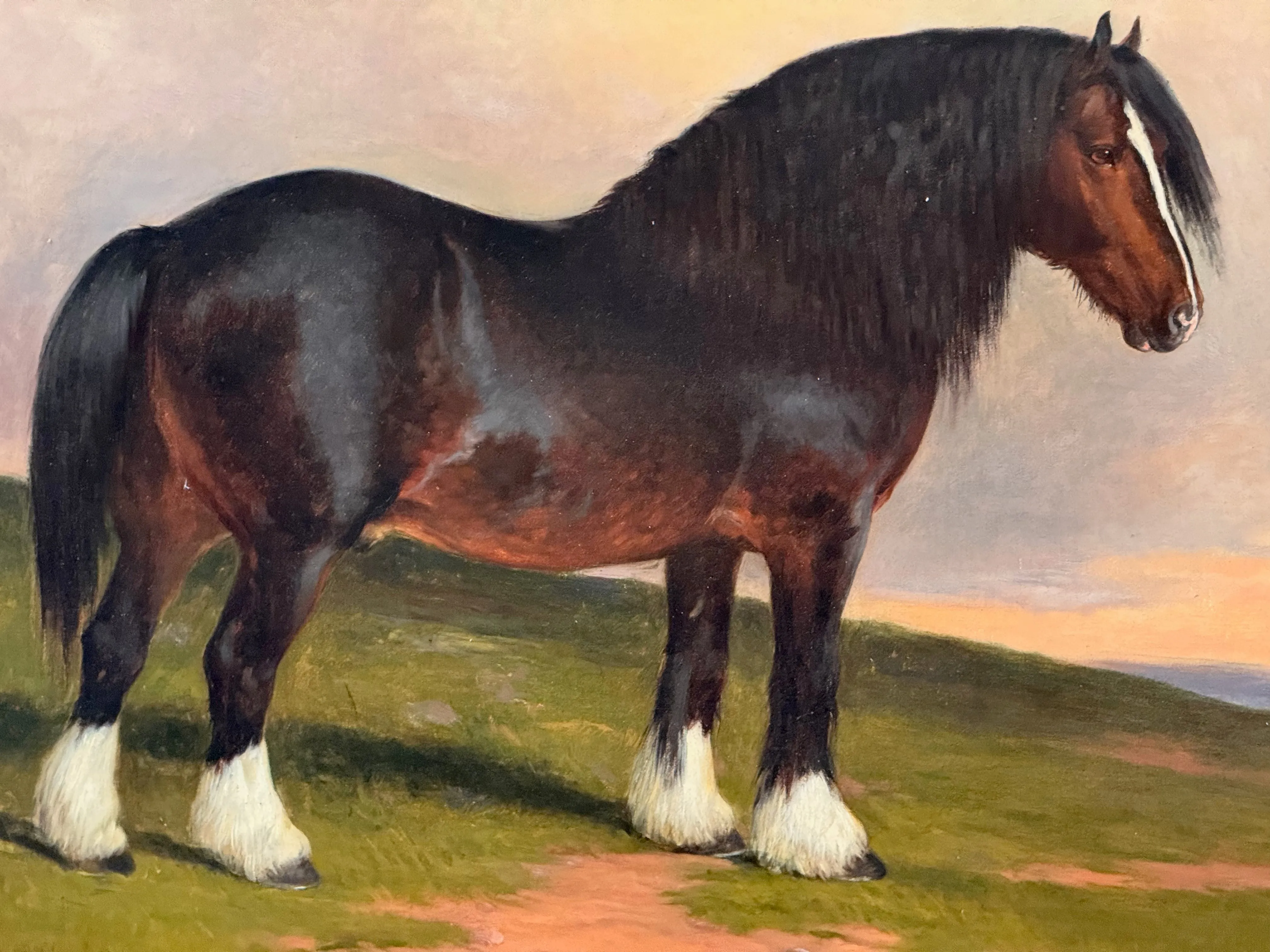 James William Cole (English, act.1849-1889) "Staunton Hero", Shire stud horse, Oil on Canvas