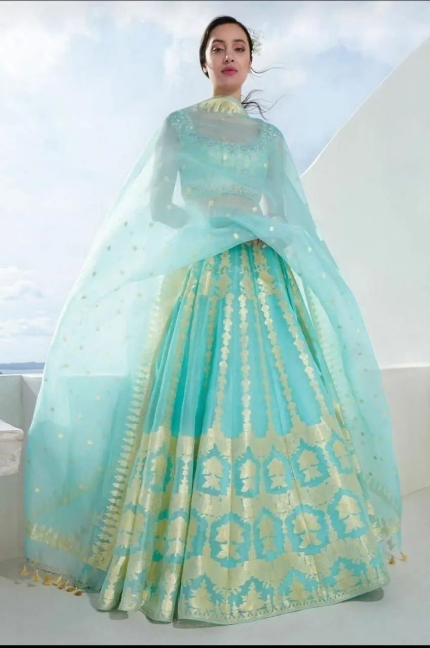Light Blue Banarasi Organza Silk  Lehenga
