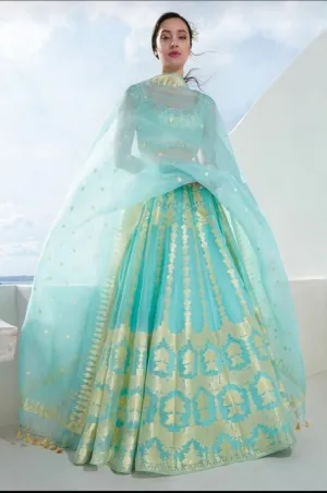 Light Blue Banarasi Organza Silk  Lehenga