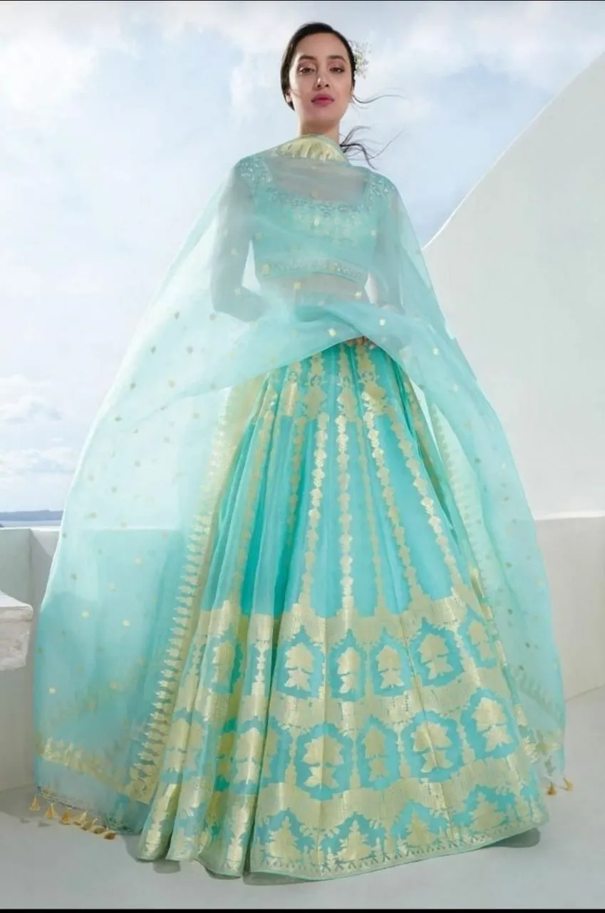 Light Blue Banarasi Organza Silk  Lehenga