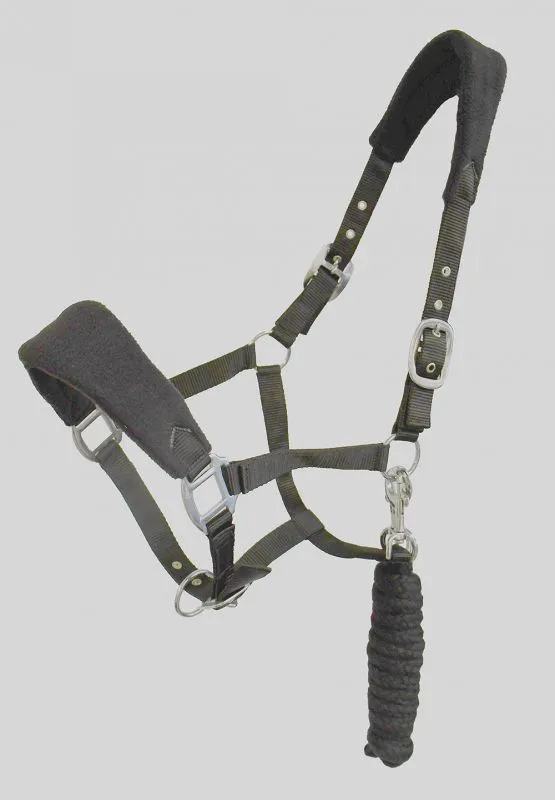 Personalised Anatomical Headcollar And Leadrope Set - Deco Design