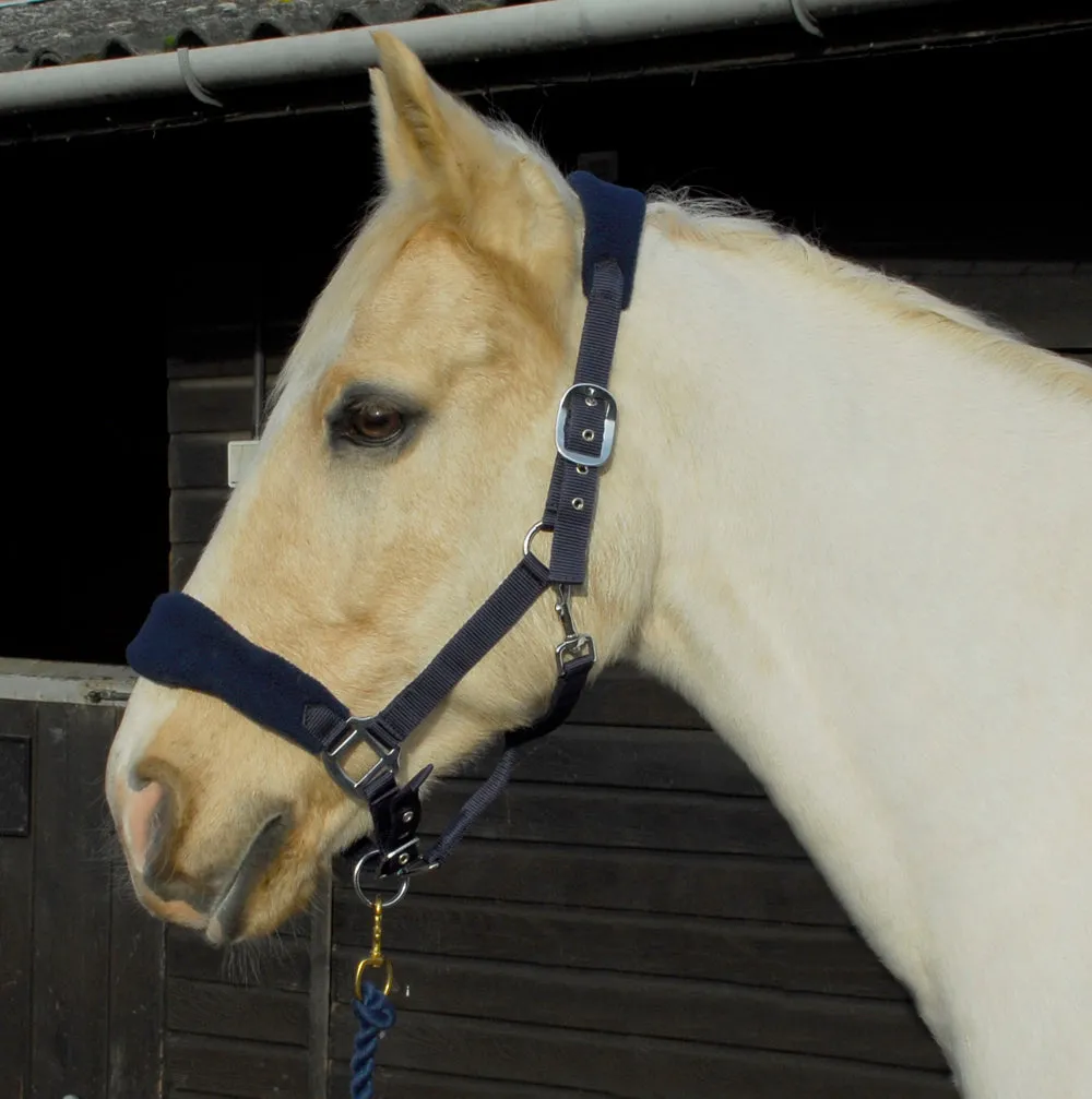 Personalised Anatomical Headcollar And Leadrope Set - Deco Design