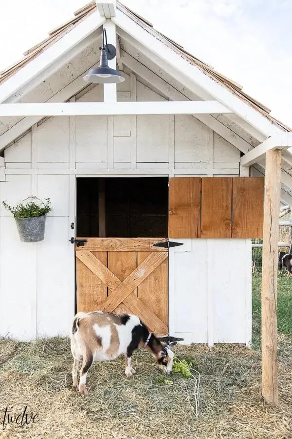 Stylish Goat House Digital Building Plans