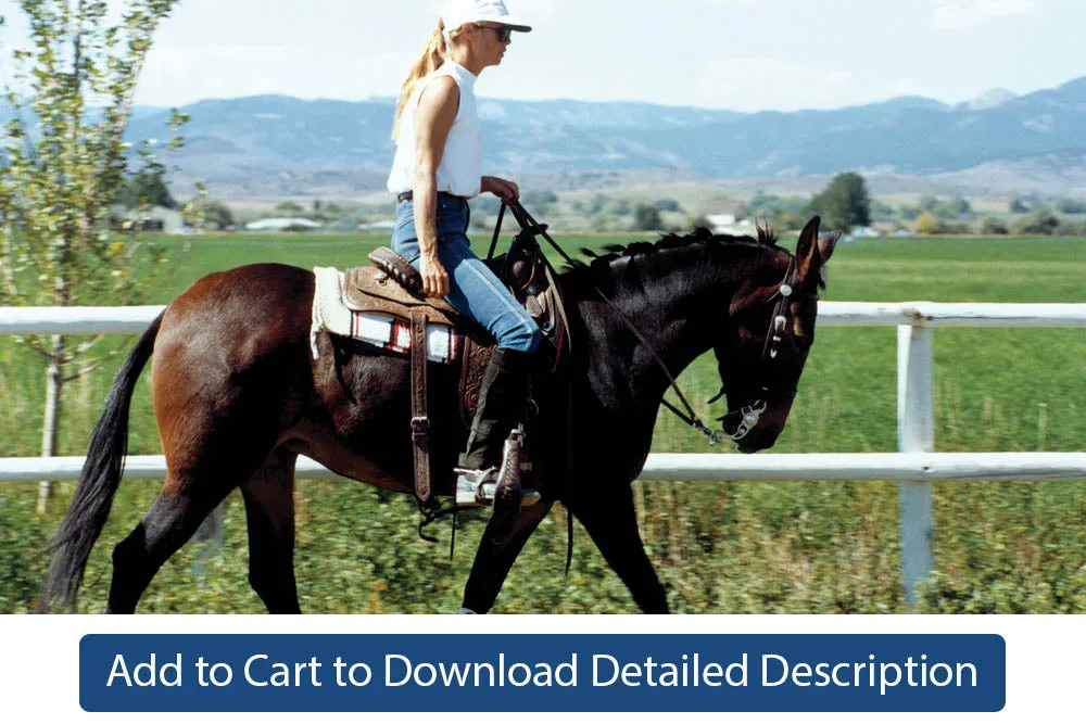 Training Tip - #085 Collection