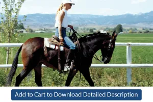 Training Tip - #085 Collection